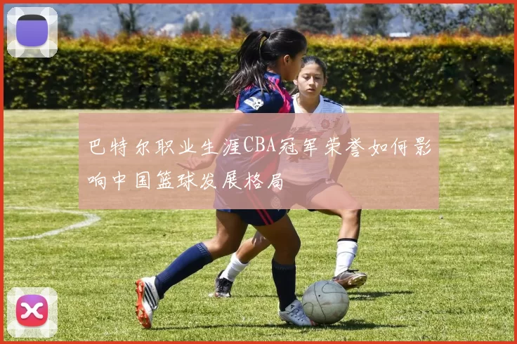 巴特尔职业生涯CBA冠军荣誉如何影响中国篮球发展格局