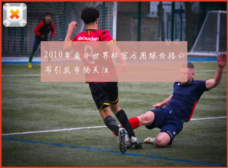 2010年南非世界杯官方用球价格公布引发市场关注