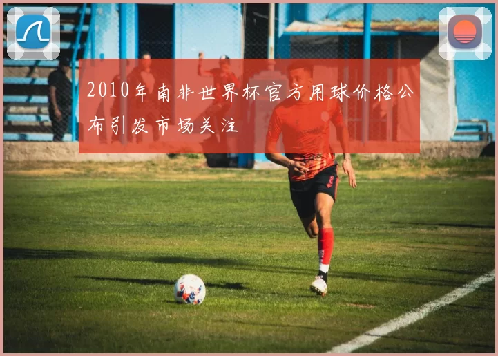 2010年南非世界杯官方用球价格公布引发市场关注
