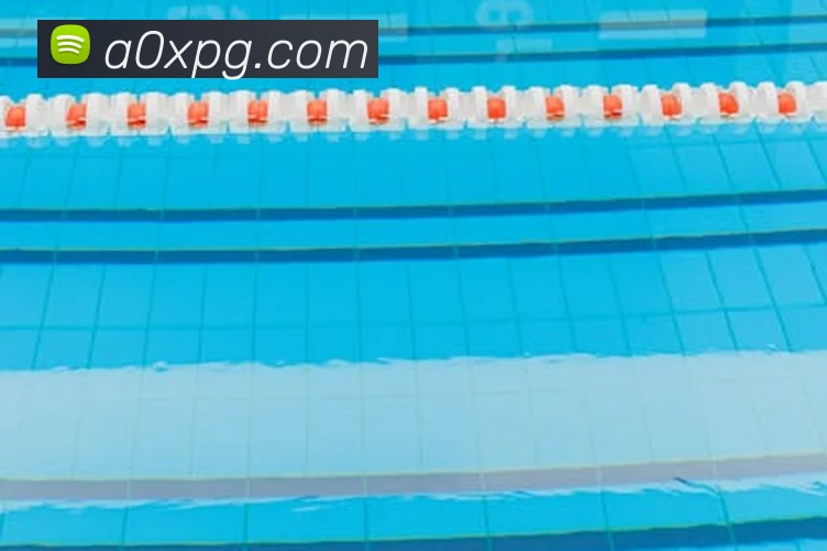 九游官网入口网页版下载安装发展历程